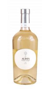 Pinot Grigio Astoria Alisi IGP 75 cl.       
VS6366/3533 2020