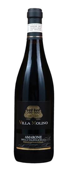 Amarone Villa Molina 75 cl.                     
R.6745/6034 2013