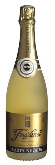 Freixenet Carte Nevada semi seco 75 cl.   
BL6870/3935'16